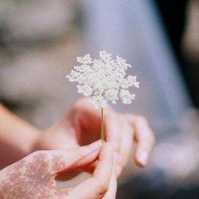 B体育·(sports)官方网站手机app下载