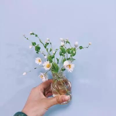 B体育·(sports)官方网站手机app下载截图